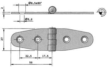 Cerniera in Acciaio Inox Aisi 316 mm.27x100