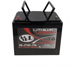 Batteria al litio per camper LiFePO4 Liontron 100 Ah - TecnoCamperShop -  Ricambi accessori per camper